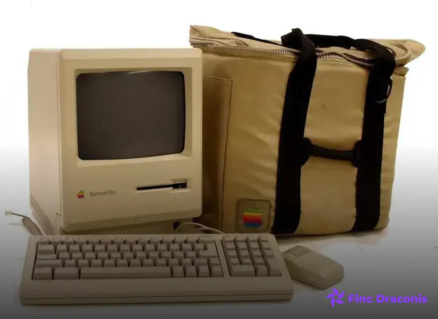 Functional vs. Object-Oriented Programming: Key Differences Explored